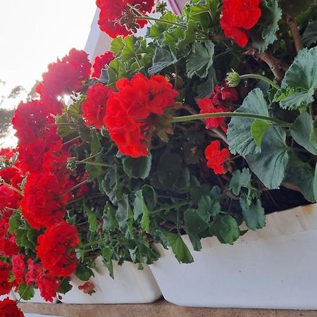Finca Sa Cova De Mallorca Sencelles Dış mekan fotoğraf