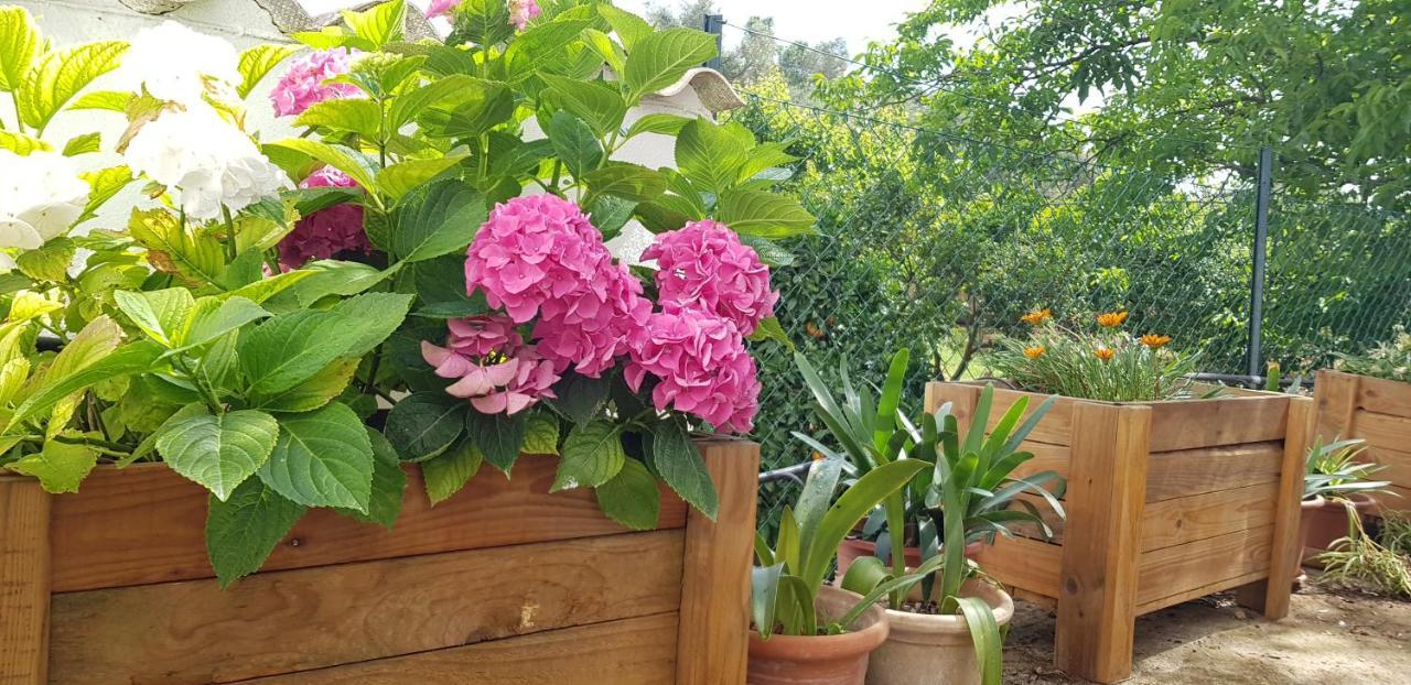Finca Sa Cova De Mallorca Sencelles Dış mekan fotoğraf