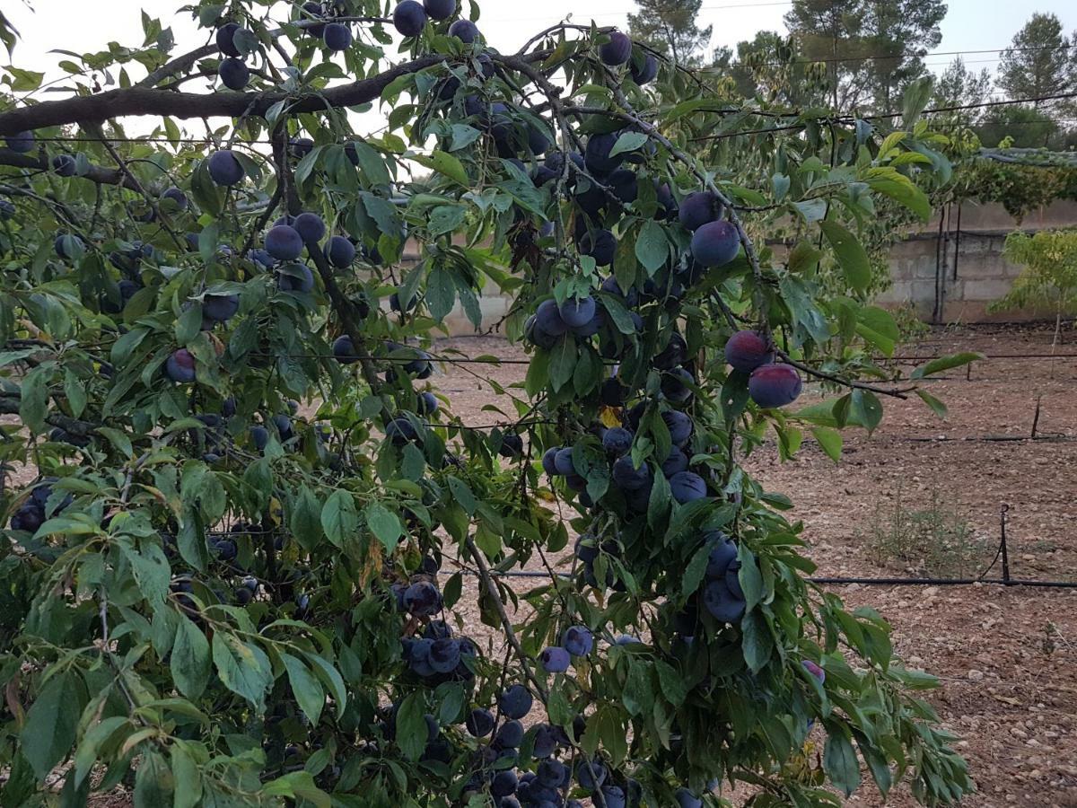 Finca Sa Cova De Mallorca Sencelles Dış mekan fotoğraf