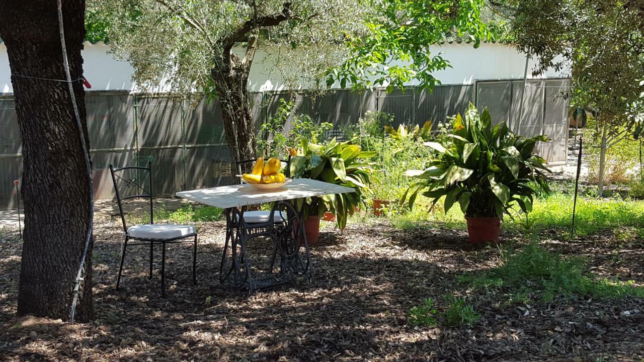 Finca Sa Cova De Mallorca Sencelles Dış mekan fotoğraf