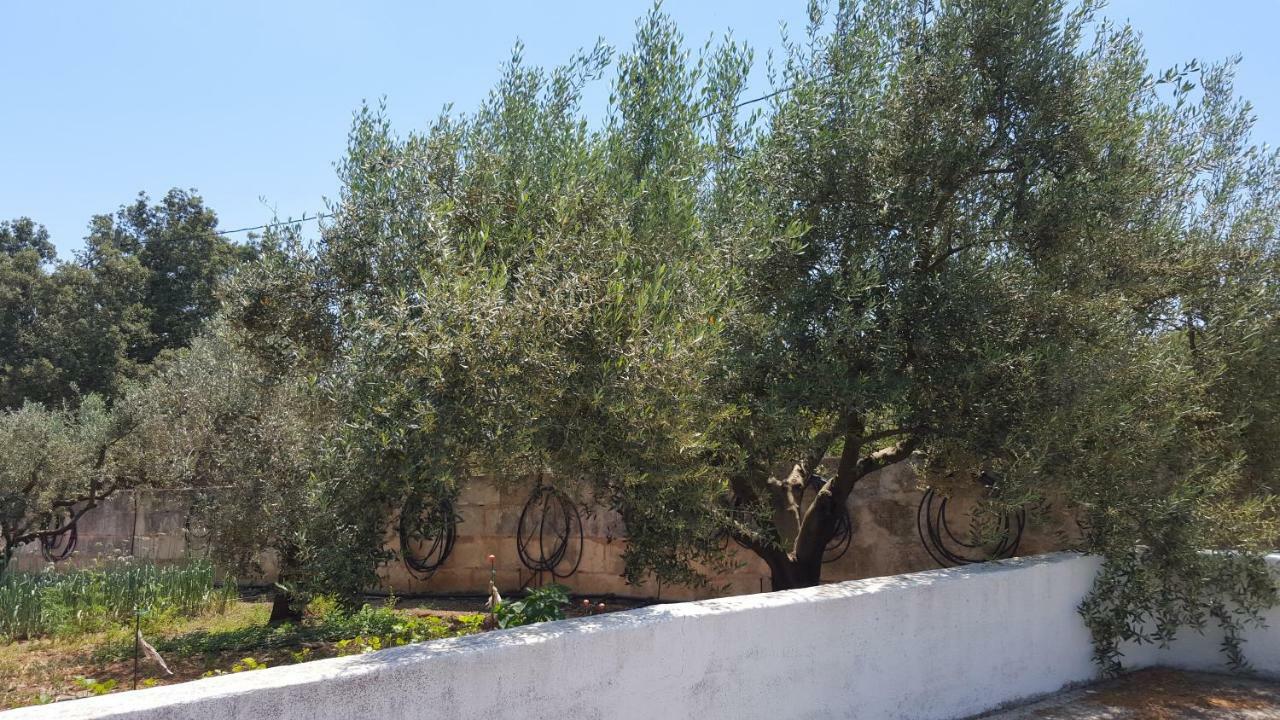 Finca Sa Cova De Mallorca Sencelles Dış mekan fotoğraf