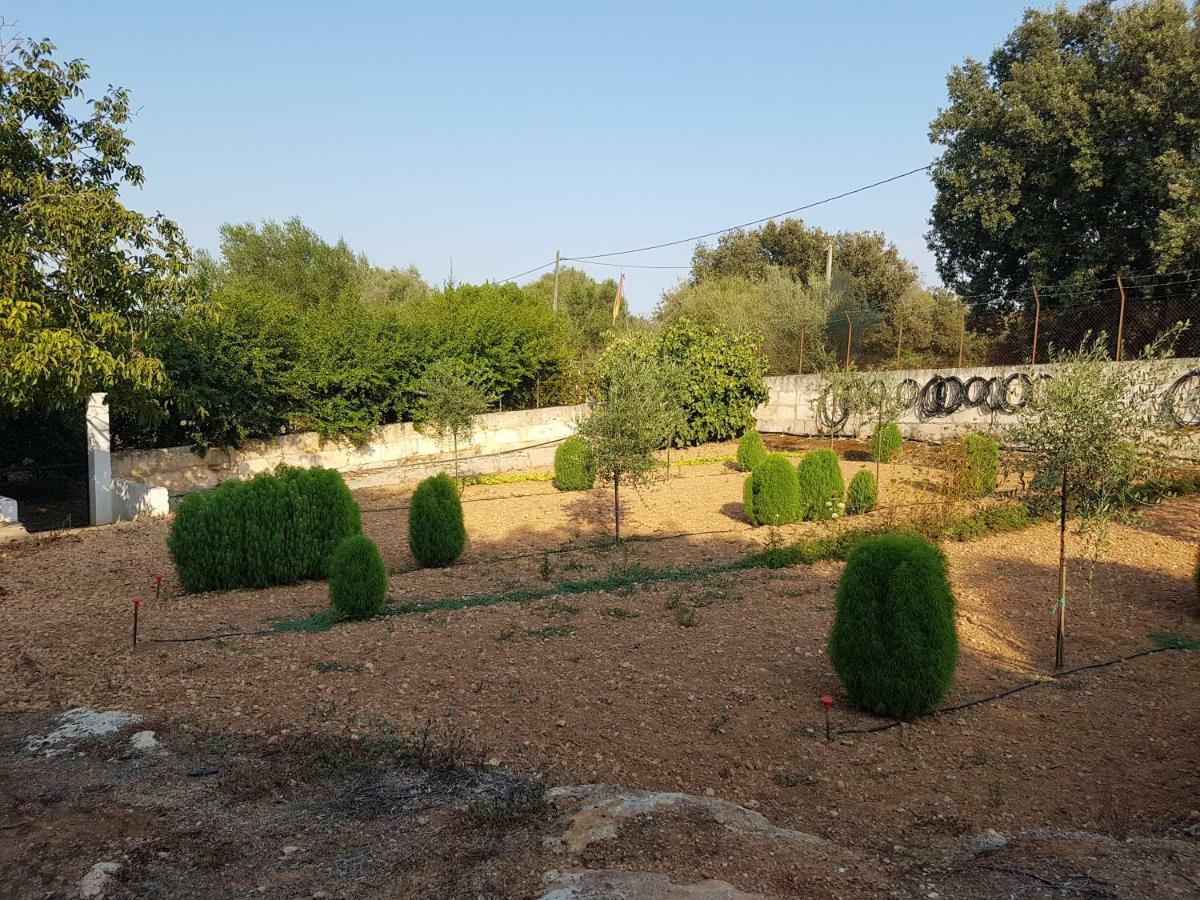 Finca Sa Cova De Mallorca Sencelles Dış mekan fotoğraf