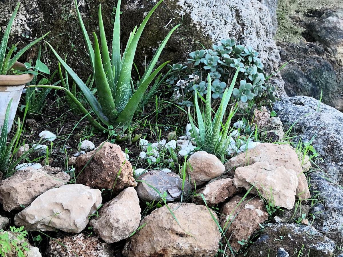 Finca Sa Cova De Mallorca Sencelles Dış mekan fotoğraf